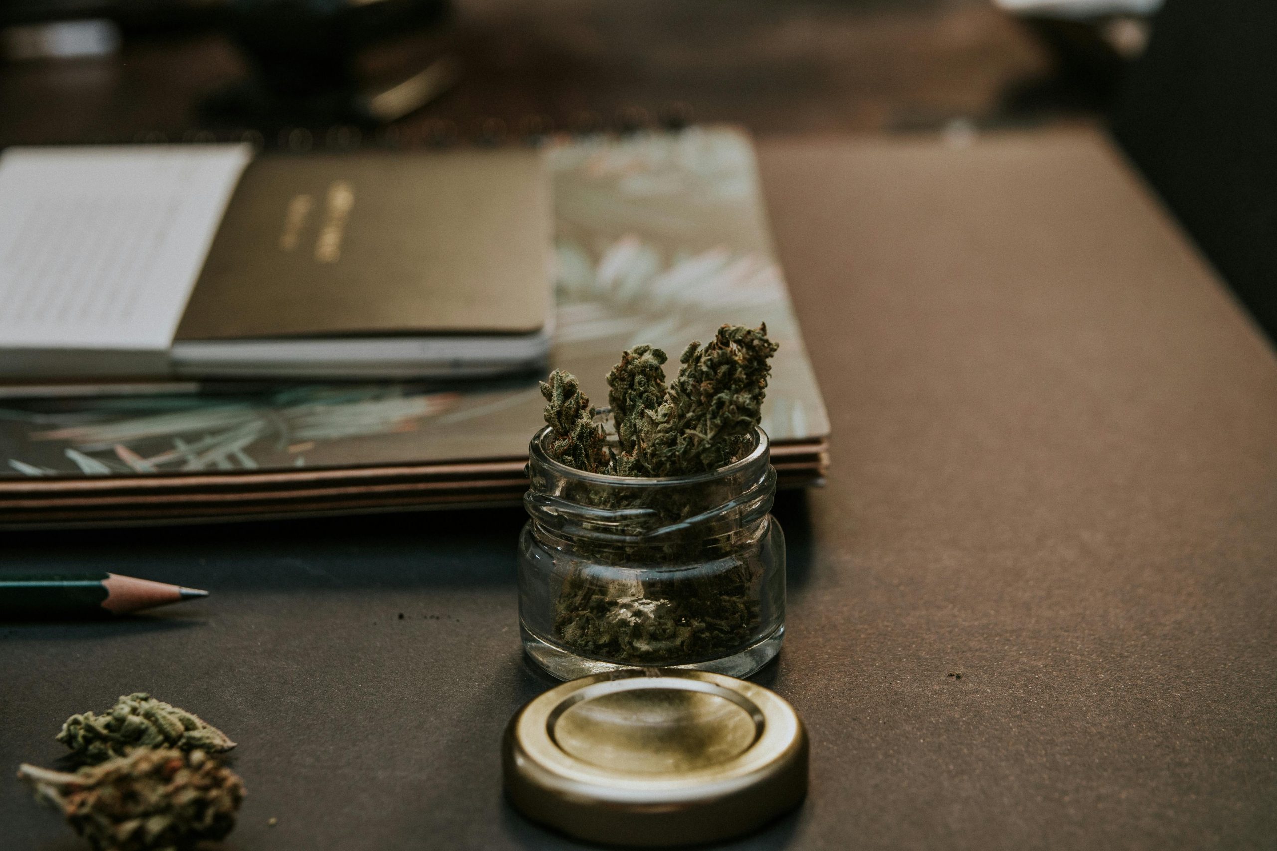 Spain 420 al Descubierto: Entendiendo la Plataforma que Conecta a los Usuarios con los Weedclubs de Madrid